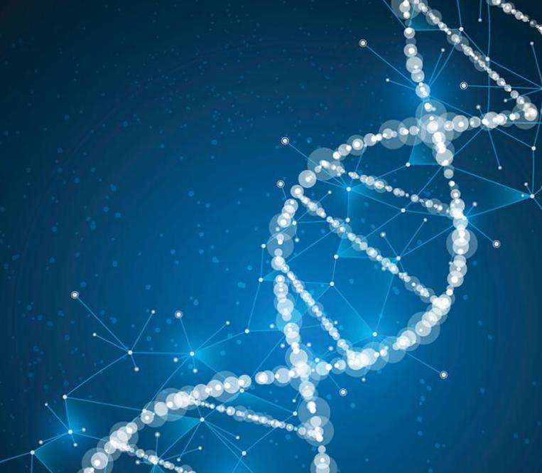 Биология, цепь ДНК