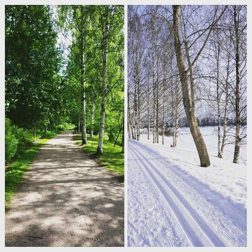 Зима и лето
