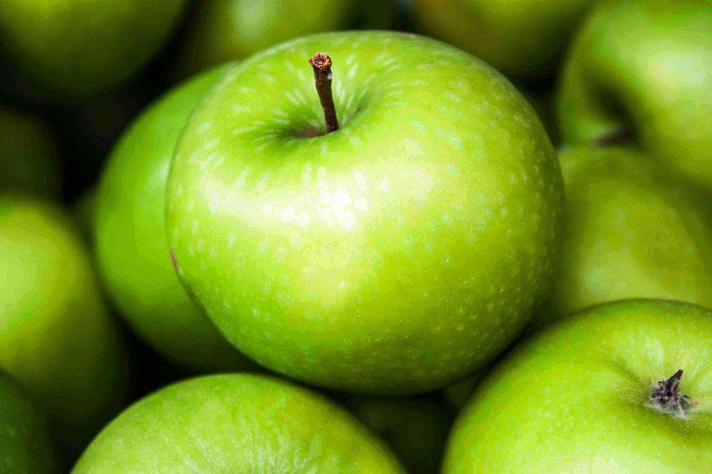 Двадцать миллионов яблочных лет