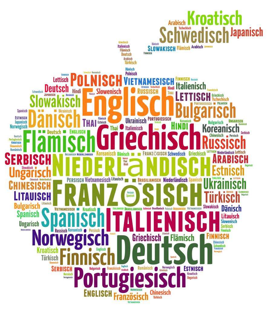 Многообразие языков