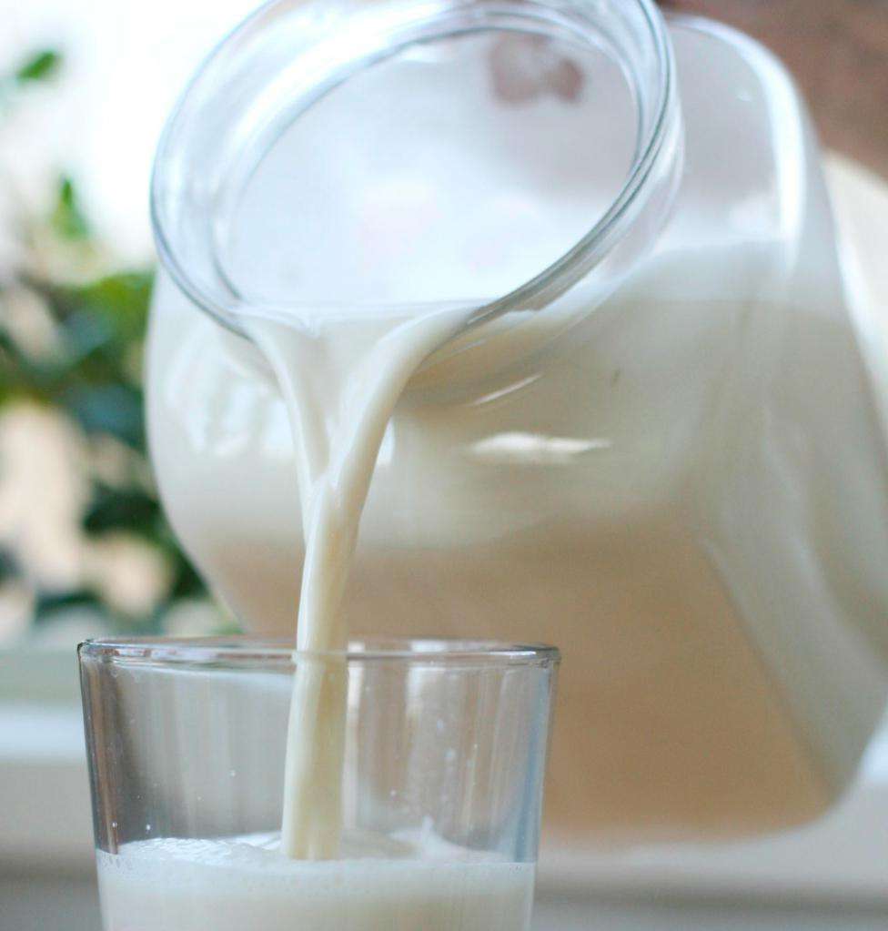 Молоко на иврите 