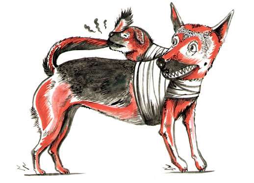 Собака с двумя головами в мифологии