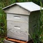 Как называется домик для пчел? Размеры улья