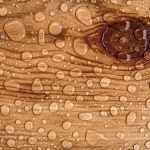 Влажность древесины: виды, методы определения