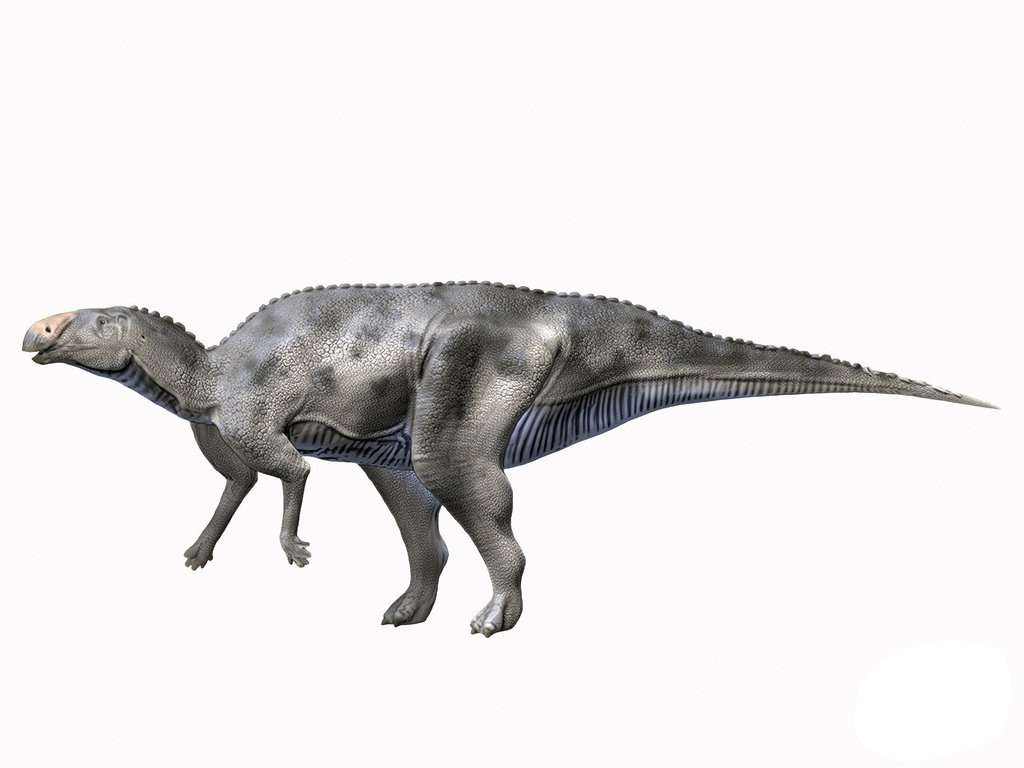 утконосый динозавр