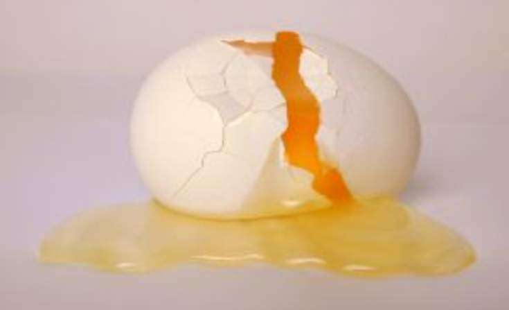 Конфуз с разбитым яйцом