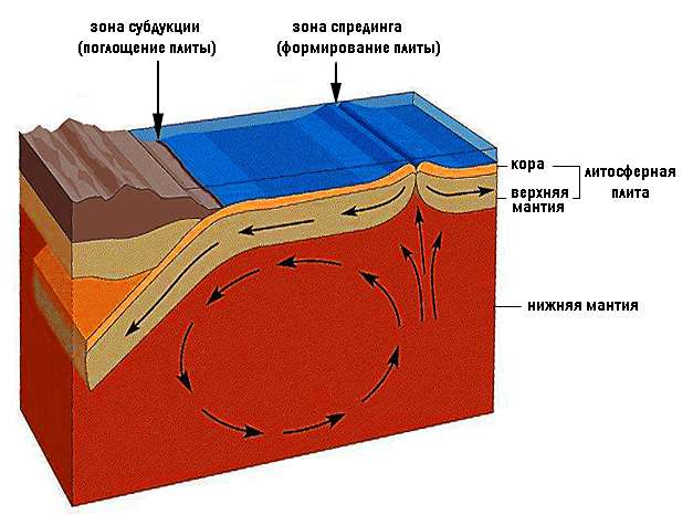 Схема механизма тектоники плит