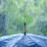 Что такое дождь в художественном стиле литературы? Описание погоды в литературе