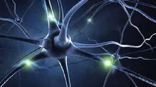 Изображение нейрона